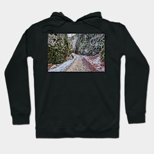 Deep canyon Hoodie